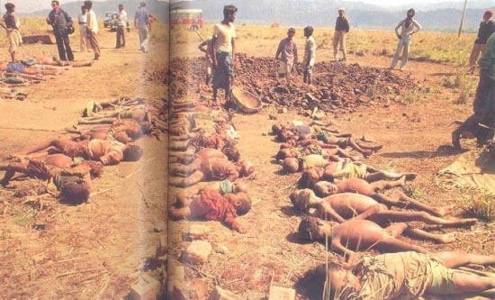Image result for nellie massacre