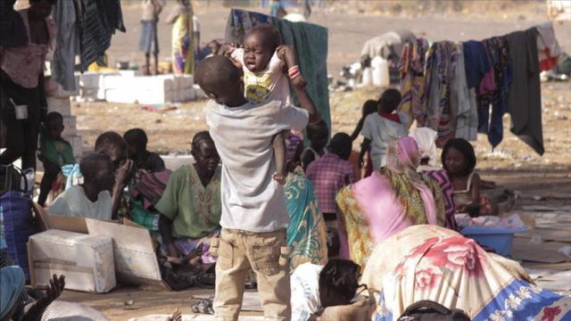 Hunger levels double in DR Congo: Report